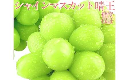 シャインマスカット 晴王 2房 約1.2kg 2回 定期便 7月・8月に1回ずつお届け【2026年7月下旬発送開始】【シャインマスカット マスカット ぶどう 葡萄 岡山県産   種無し 皮ごと食べる みずみずしい7月～8月にお届け フレッシュ 温室栽培 晴れの国おかやま 果物大国 彩美菜果 岡山県 倉敷市 おすすめ 人気 】