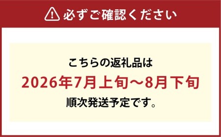 岡山県産 白桃  約1.5kg箱 5～6玉 【2026年7月上旬～8月下旬迄発送予定】 もも 桃 果物 くだもの フルーツ 国産 果実 冷蔵 
