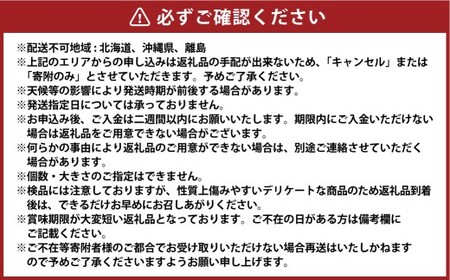 岡山県産 白桃  約1.5kg箱 5～6玉 【2026年7月上旬～8月下旬迄発送予定】 もも 桃 果物 くだもの フルーツ 国産 果実 冷蔵 