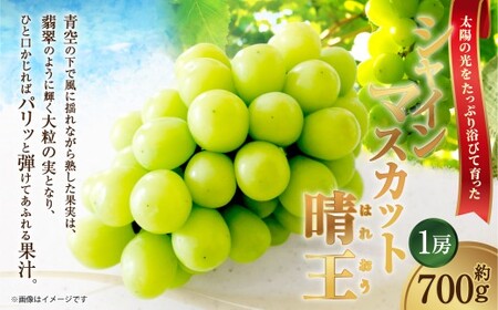 [HS]ぶどう シャイン マスカット 晴王 1房 約700g【2026年9月上旬～10月下旬発送】【ブドウ 葡萄  岡山県産 国産 フルーツ 果物 ギフト】