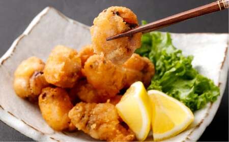 七福丸 タコ専門漁師直送！ビールに合うたこの唐揚げ 4袋セット 「多幸の唐揚げ」 500g×4袋 合計2kg【唐揚げ 揚げ物 タコ たこ 冷凍食品 冷凍便 岡山県 倉敷市 おすすめ 人気】