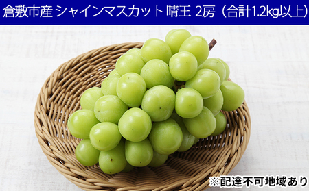 シャインマスカット 晴王 2房(合計1.2kg以上) 岡山県倉敷市産