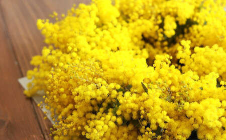 フレッシュ ミモザのリース【ハンドメイド ミモザリース リース ドライ