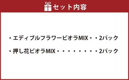 エディブルフラワービオラMIX（20輪入り）2種4パックセット【食べられるお花 栽培期間中 農薬不使用】