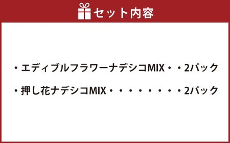 エディブルフラワーナデシコMIX（20輪入り）2種4パックセット【食べられるお花 栽培期間中 農薬不使用】