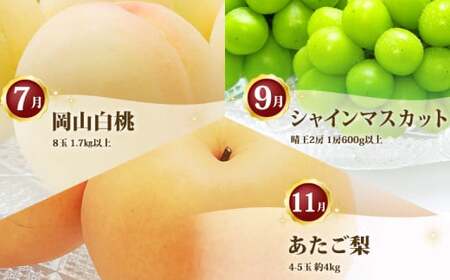 ［2026年先行予約］ 岡山県産 果物定期便 3回コース【2026年7月上旬～11月下旬まで順次発送予定】【もも 桃 シャインマスカット 梨 なし あたご梨 果物 フルーツ 国産 人気 おすすめ 岡山県 倉敷市】