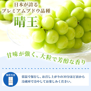 ぶどう 2025年 先行予約 シャイン マスカット 晴王 2房（1房 600g以上）化粧箱入り 岡山県産 フルーツ 果物 ギフト