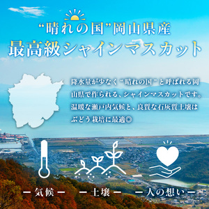 ぶどう 2025年 先行予約 シャイン マスカット 晴王 2房（1房 600g以上）化粧箱入り 岡山県産 フルーツ 果物 ギフト