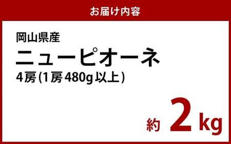 【先行予約】岡山県産 ニューピオーネ  4房（1房480g以上）約2kg【2026年8月下旬～10月上旬まで順次発送予定】【ぶどう ニューピオーネ フルーツ 国産 人気 おすすめ 岡山県 倉敷市】