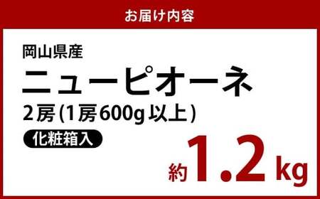 【先行予約】岡山県産 ニューピオーネ 2房（1房600g以上）化粧箱入り【2026年8月下旬～10月上旬まで順次発送予定】【ニューピオーネ ぶどう 果物 フルーツ 国産 人気 おすすめ 岡山県 倉敷市】