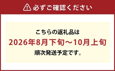 【先行予約】岡山県産 ニューピオーネ 2房（1房600g以上）化粧箱入り【2026年8月下旬～10月上旬まで順次発送予定】【ニューピオーネ ぶどう 果物 フルーツ 国産 人気 おすすめ 岡山県 倉敷市】