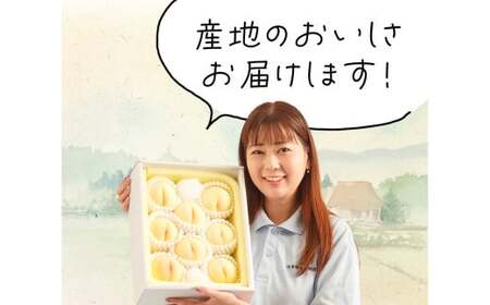 【先行予約】岡山県産　白桃8玉（1.7kg以上）化粧箱入り【2025年7月上旬-8月上旬 発送予定】【もも 桃 白桃 果物 フルーツ 国産 人気 おすすめ 岡山県 倉敷市】