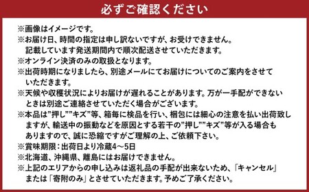 【先行予約】岡山県産　白桃6玉（1.6kg以上）化粧箱入り【2026年7月上旬～8月上旬まで順次発送予定】【もも 桃 白桃 果物 フルーツ 国産 人気 おすすめ 岡山県 倉敷市】