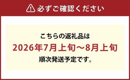 【先行予約】岡山県産　白桃6玉（1.6kg以上）化粧箱入り【2026年7月上旬～8月上旬まで順次発送予定】【もも 桃 白桃 果物 フルーツ 国産 人気 おすすめ 岡山県 倉敷市】