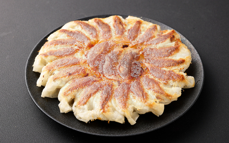 倉敷ぎょうざ本舗 倉敷ぎょうざ 80個 20ヶ入×４パック タレ付き 【餃子 ぎょうざ ギョウザ 岡山県 倉敷市 おすすめ 人気】  