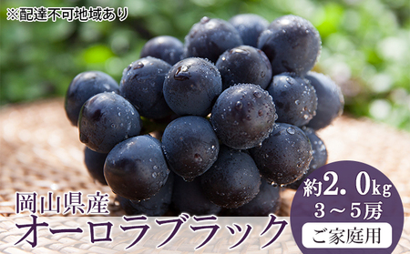 桃 2024年 先行予約 ご家庭用 オーロラブラック 約2.0kg（3～5房） ブドウ 葡萄  岡山県産 国産 フルーツ 果物