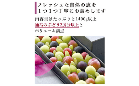 ぶどうの宝石箱『ヴェレゾンブランシュ』白い貼り箱・サテンリボン（ゴールド）750g（1房分）以上 岡山県産 果物 フルーツ 2023年 先行予約