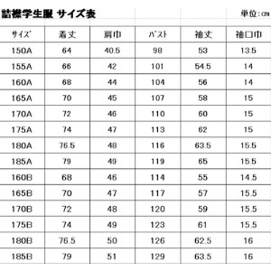 標準型学生服 学ラン ラウンドカラー 日本被服株式会社（ 上着 詰襟 服 男性 メンズ ファッション 岡山県 倉敷産 返礼品 ） 180B サイズ