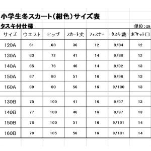 学生服 小学生 イートン＆冬スカート（タスキ付）2点セット 日本被服