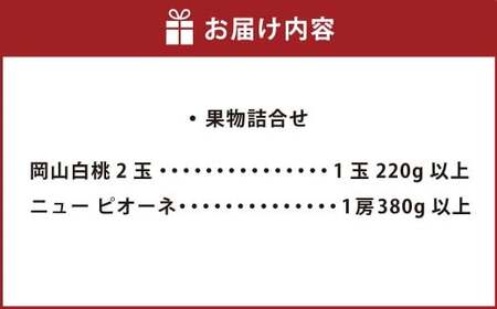 岡山白桃2玉（ロイヤル1玉220g以上）ニューピオーネ1房（1房380g以上）【2026年7月上旬～8月上旬まで発送予定】【白桃 桃 もも モモ ニューピオーネ 葡萄 ぶどう ブドウ フルーツ 果物 岡山県 倉敷市 おすすめ 人気】