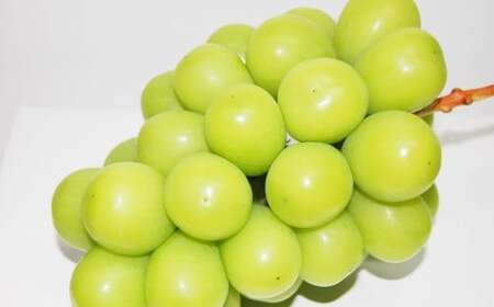 果物詰合せ（岡山白桃 2玉（1玉 220g以上）《等級：ロイヤル》・シャインマスカット晴王 1房（380g以上）・ニューピオーネ 1房（380g以上））【2026年7月上旬～8月上旬まで順次発送予定】