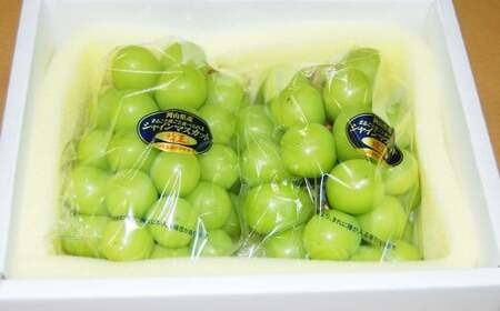 シャインマスカット晴王 1房（680g以上） 加温栽培【2026年7月上旬～8月上旬まで順次発送予定】【シャインマスカット シャイン マスカット 人気フルーツ 岡山フルーツ おすすめフルーツ 岡山県 倉敷市】