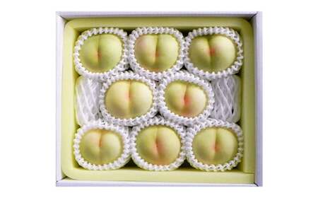 【ロイヤル】岡山白桃8玉入り（1玉220g以上） 計約1.8kg 【白桃 桃 もも モモ フルーツ 果物 岡山県 倉敷市 おすすめ 人気】【2026年7月上旬～8月下旬 発送予定】