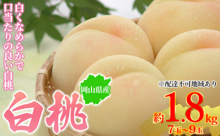 桃 2024年先行予約 岡山県産 白桃 約1.8kg 7～9玉 お届け 7月上旬～7月下旬