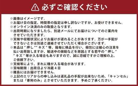 シャインマスカット【晴王】2kg 3房～5房入り【2026年8月上旬～9月下旬まで順次発送予定】 マスカット ぶどう 葡萄 ブドウ フルーツ 果物 くだもの 岡山県 倉敷市