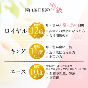 桃 2024年 先行予約 岡山 白桃 ロイヤル 3玉入り 合計約900g もも モモ 岡山県産 国産 フルーツ 果物 ギフト 橋田商店