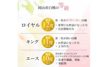 岡山白桃 ロイヤル 3玉入り(合計約900g)【2026年7月上旬~8月下旬 発送予定】【もも 桃 白桃 果物 フルーツ 国産 人気 おすすめ 岡山県 倉敷市】