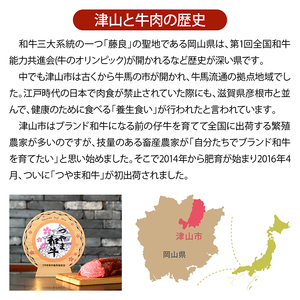 つやま 和牛 切り落とし 約600g 肉 牛肉 ミート 黒毛 産地直送 岡山