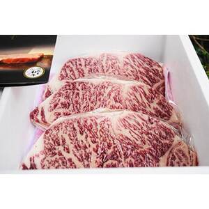 津山生まれ・津山育ち【つやま和牛】霜降りステーキ(リブロース・サーロイン)　600g(3枚)【配送不可地域：離島】【1030616】