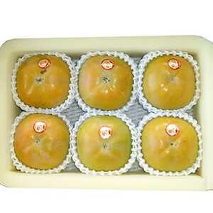 【先行受付】津山産高級大甘柿　太秋大甘柿【配送不可地域：離島】【1035172】