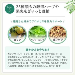 プロポリススプレー(11104)【1107984】