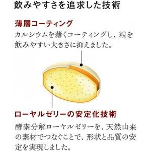 酵素分解ローヤルゼリー王乳の華 (991)【1111701】