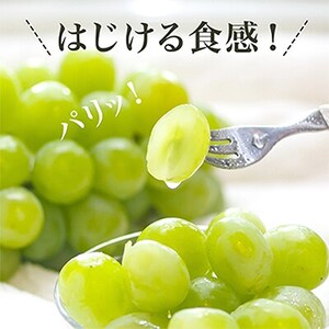 【先行受付】岡山県産マスカットオブアレキサンドリア1房(秀品以上・700g以上)化粧箱入り【配送不可地域：離島・北海道・沖縄県】【1150087】