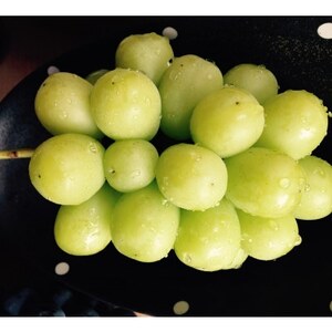 岡山県　吉備高原産　シャインマスカット　1房入り(650g以上)　ご贈答品【1151380】