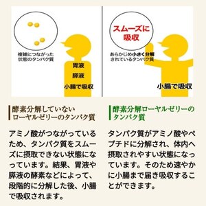 酵素分解ローヤルゼリーキング (560)【1152893】