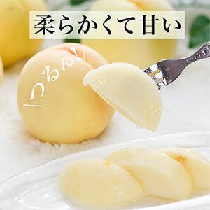 【先行受付】岡山県産 白桃6玉(1.6kg以上) 化粧箱入り【配送不可地域:離島・北海道・沖縄県】【1281362】