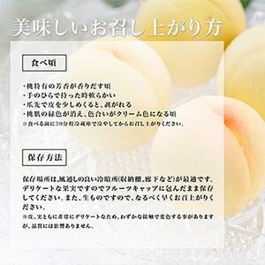 【先行受付】岡山県産 白桃6玉(1.6kg以上) 化粧箱入り【配送不可地域:離島・北海道・沖縄県】【1281362】