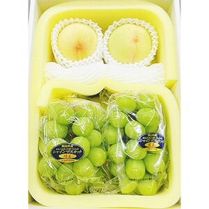 【先行受付】岡山県産 詰合せ/白桃とシャインマスカット『晴王』 化粧箱入り【配送不可地域:離島・北海道・沖縄県】【1281366】