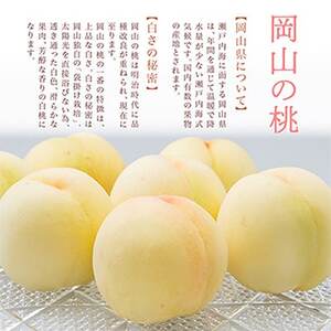 【先行受付】岡山県産 詰合せ/白桃とシャインマスカット『晴王』 化粧箱入り【配送不可地域:離島・北海道・沖縄県】【1281366】