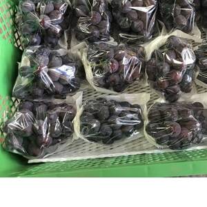 新鮮・朝採り後即出荷!　岡山県　吉備高原産ニューピオーネ　1房入り(700g以上)贈答品【1299810】