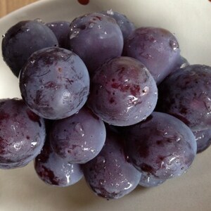 新鮮・朝採り後即出荷!　岡山県　吉備高原産ニューピオーネ　2kg箱(3～4房入)ご贈答品【1299812】