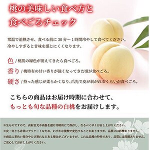 【先行受付】岡山白桃 ロイヤル 4～8玉 1.2kg 岡山県産【配送不可地域：離島・北海道・沖縄県】【1305694】