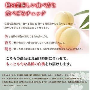 【先行受付】岡山白桃 エース 5～10玉 1.8kg 岡山県産【配送不可地域：離島・北海道・沖縄県】【1305706】