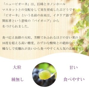 【2026年6月下旬より順次発送】岡山県産 ニューピオーネ 700g×1房【配送不可地域：離島・北海道・沖縄県】【1308139】