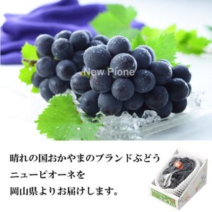 【2026年6月下旬より順次発送】岡山県産 ニューピオーネ 700g×1房【配送不可地域：離島・北海道・沖縄県】【1308139】