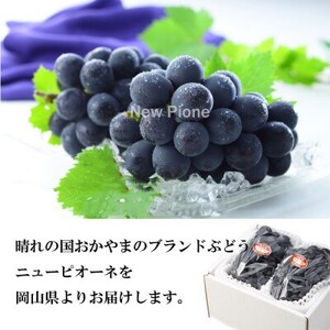 【2026年6月下旬より順次発送】岡山県産 ニューピオーネ 400g×2房【配送不可地域:離島・北海道・沖縄県】【1308140】